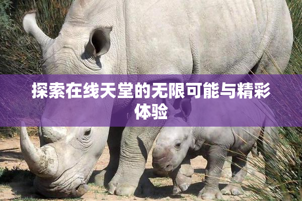 探索在线天堂的无限可能与精彩体验