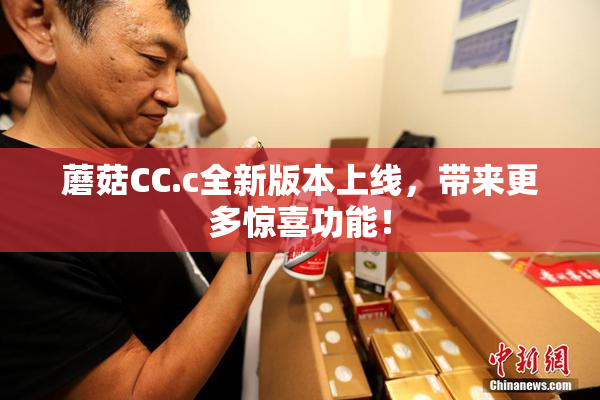 蘑菇CC.c全新版本上线，带来更多惊喜功能！