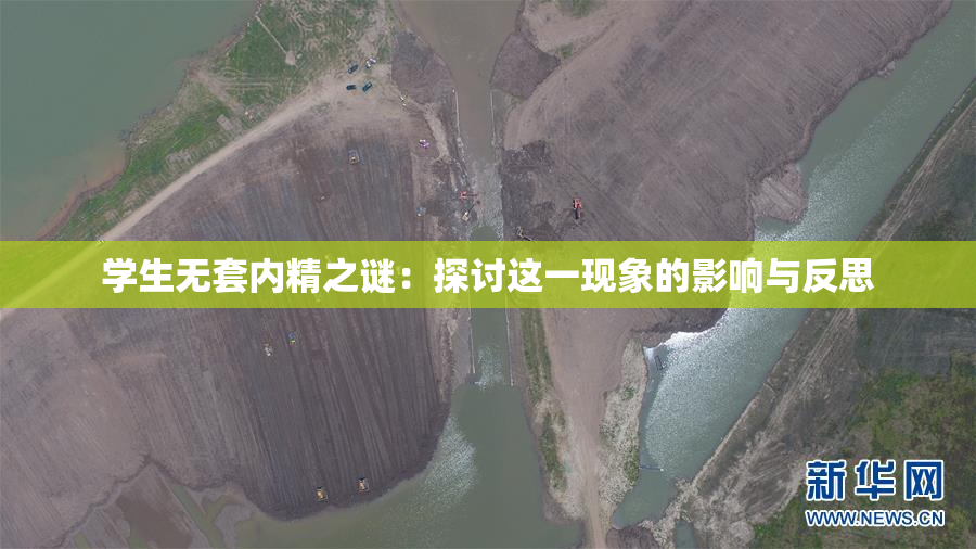 学生无套内精之谜：探讨这一现象的影响与反思