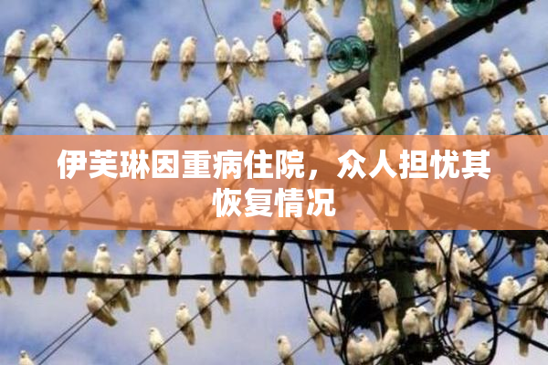 伊芙琳因重病住院，众人担忧其恢复情况