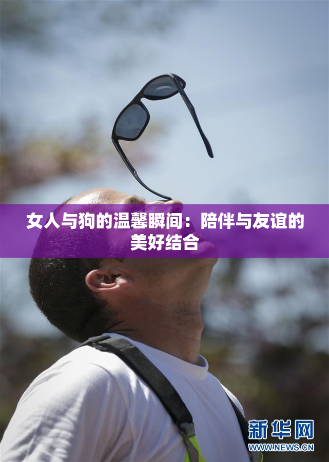女人与狗的温馨瞬间：陪伴与友谊的美好结合