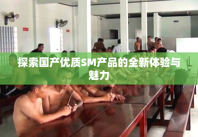 探索国产优质SM产品的全新体验与魅力