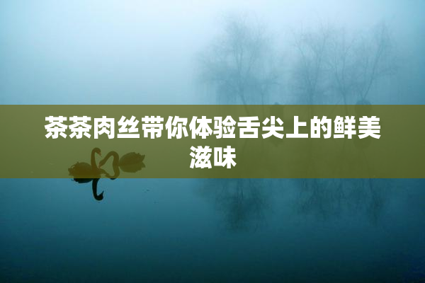 茶茶肉丝带你体验舌尖上的鲜美滋味
