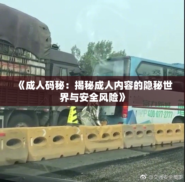 《成人码秘：揭秘成人内容的隐秘世界与安全风险》