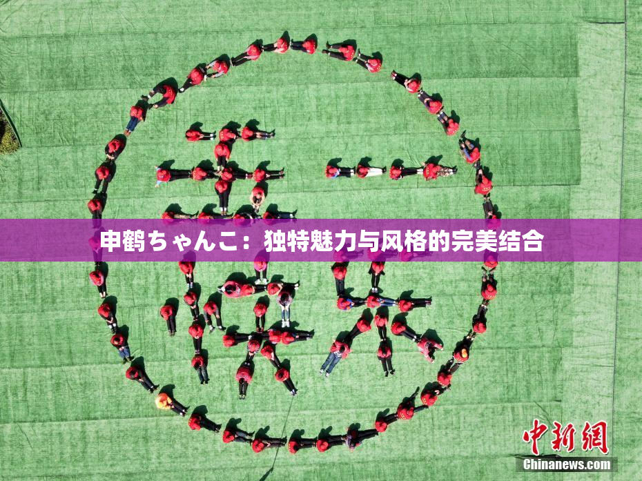 申鹤ちゃんこ：独特魅力与风格的完美结合