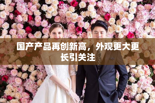 国产产品再创新高，外观更大更长引关注