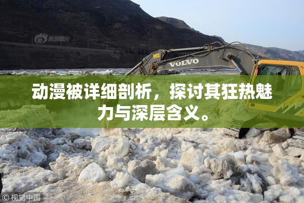 动漫被详细剖析，探讨其狂热魅力与深层含义。