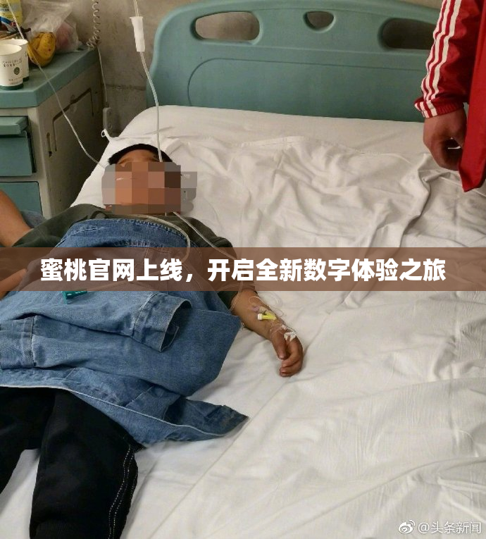 蜜桃官网上线，开启全新数字体验之旅