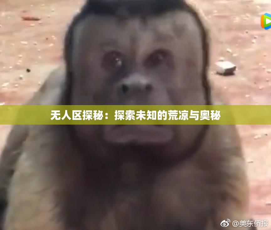 无人区探秘：探索未知的荒凉与奥秘