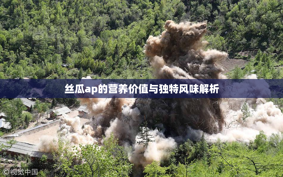 丝瓜ap的营养价值与独特风味解析