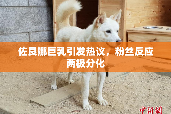 佐良娜巨乳引发热议，粉丝反应两极分化