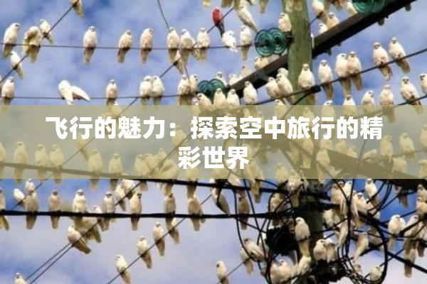 飞行的魅力：探索空中旅行的精彩世界
