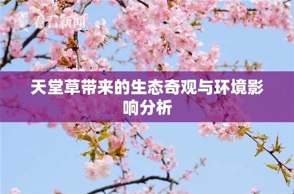 天堂草带来的生态奇观与环境影响分析