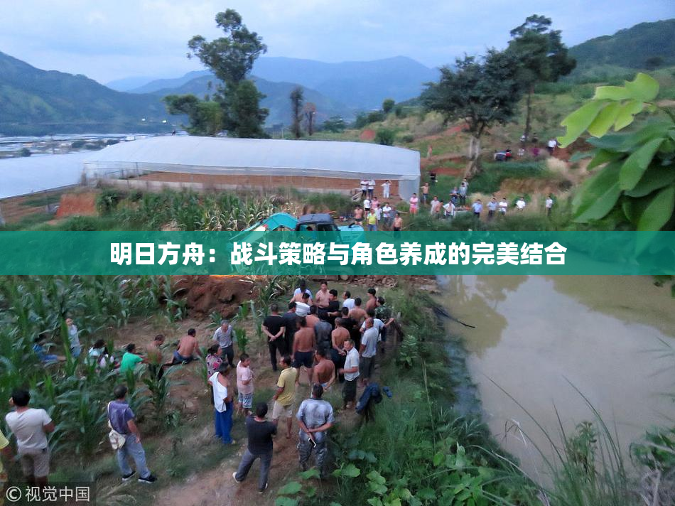 明日方舟：战斗策略与角色养成的完美结合