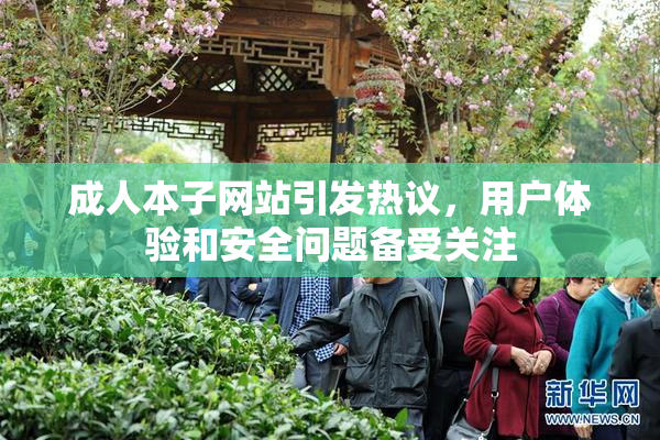 成人本子网站引发热议，用户体验和安全问题备受关注