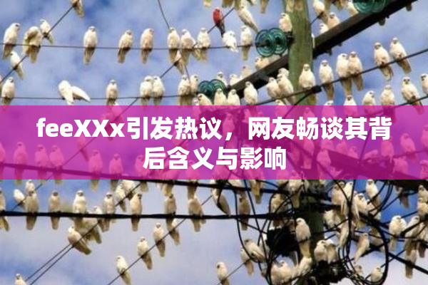 feeXXx引发热议，网友畅谈其背后含义与影响