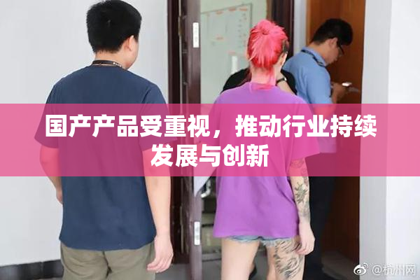 国产产品受重视，推动行业持续发展与创新