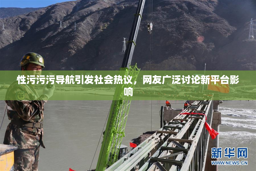 性污污污导航引发社会热议，网友广泛讨论新平台影响