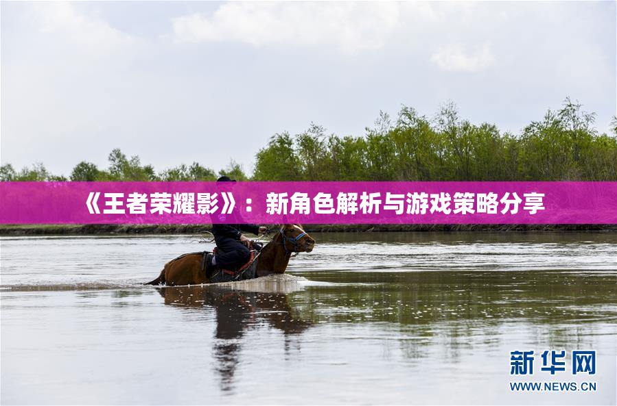 《王者荣耀影》：新角色解析与游戏策略分享