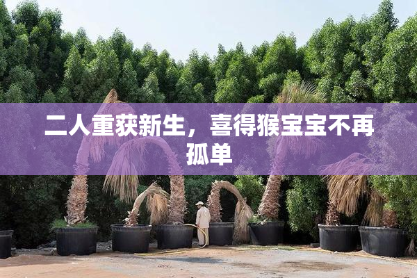 二人重获新生，喜得猴宝宝不再孤单