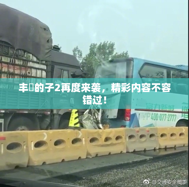 丰滿的子2再度来袭，精彩内容不容错过！