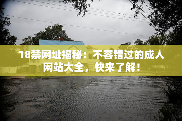 18禁网址揭秘：不容错过的成人网站大全，快来了解！