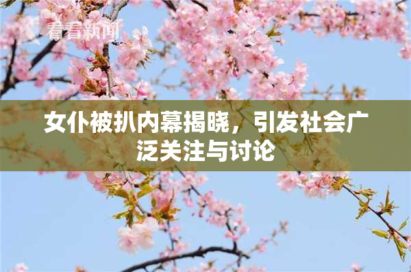 女仆被扒内幕揭晓，引发社会广泛关注与讨论