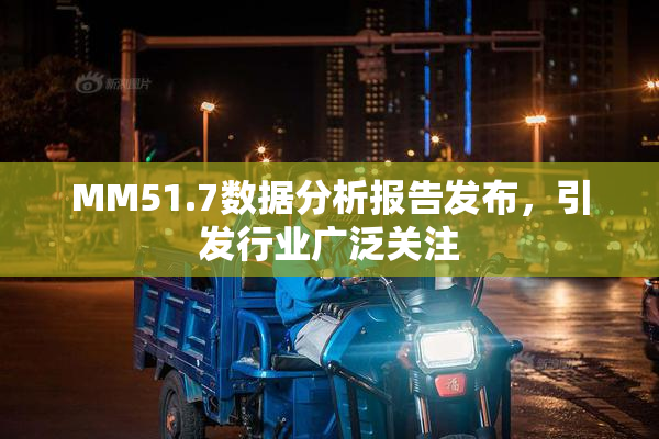 MM51.7数据分析报告发布，引发行业广泛关注