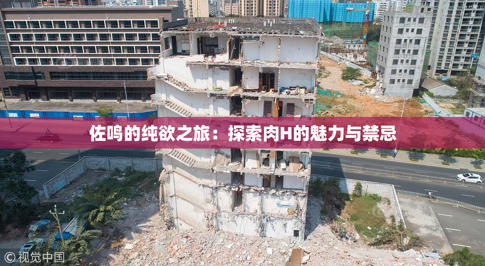 佐鸣的纯欲之旅：探索肉H的魅力与禁忌
