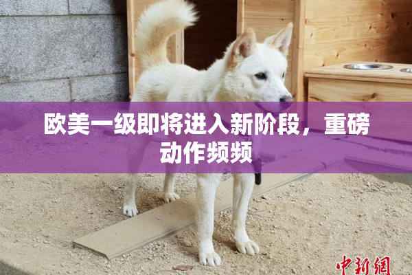 欧美一级即将进入新阶段，重磅动作频频