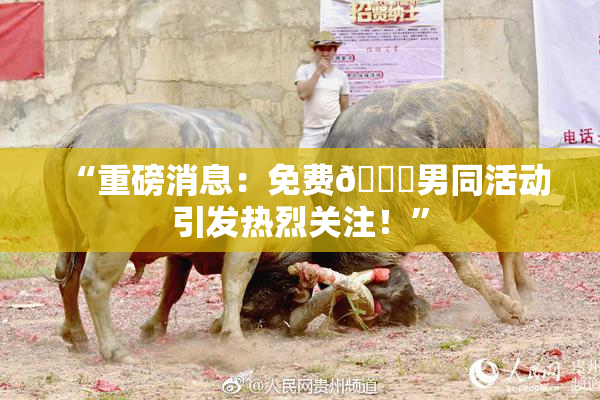 “重磅消息：免费🔞男同活动引发热烈关注！”