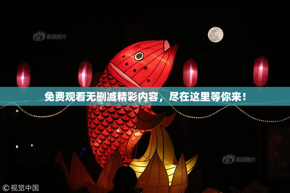 免费观看无删减精彩内容，尽在这里等你来！