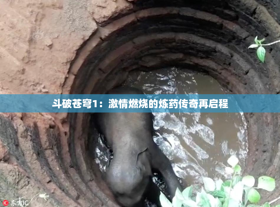 斗破苍穹1：激情燃烧的炼药传奇再启程