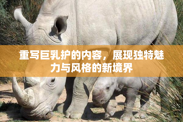 重写巨乳护的内容，展现独特魅力与风格的新境界