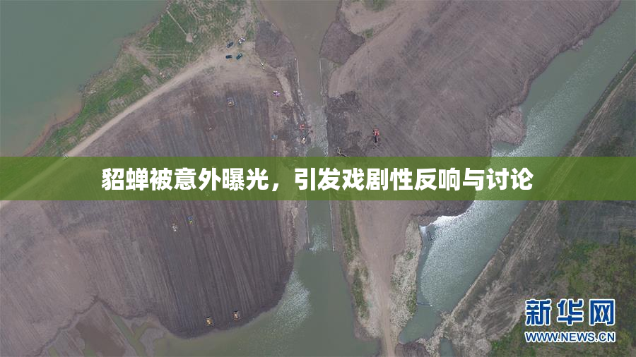 貂蝉被意外曝光，引发戏剧性反响与讨论
