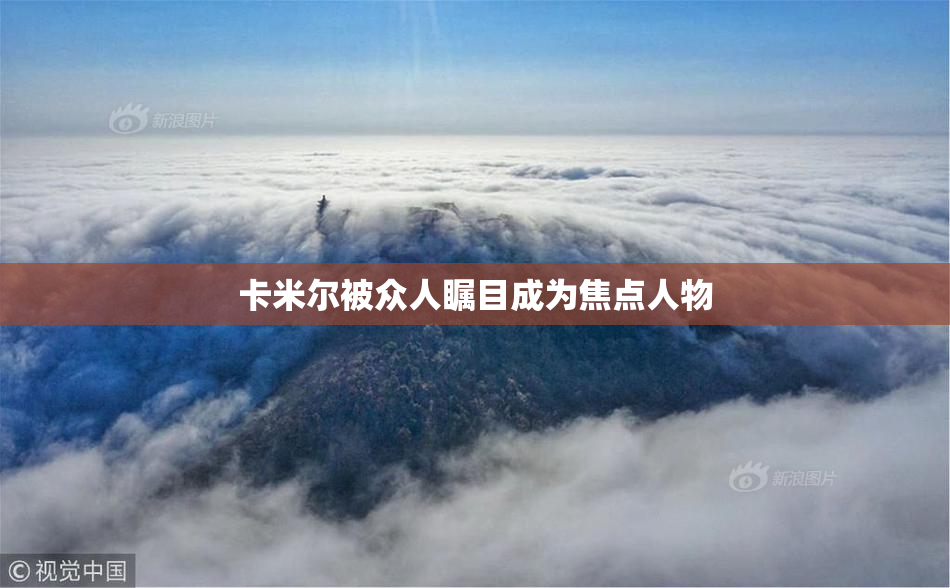卡米尔被众人瞩目成为焦点人物