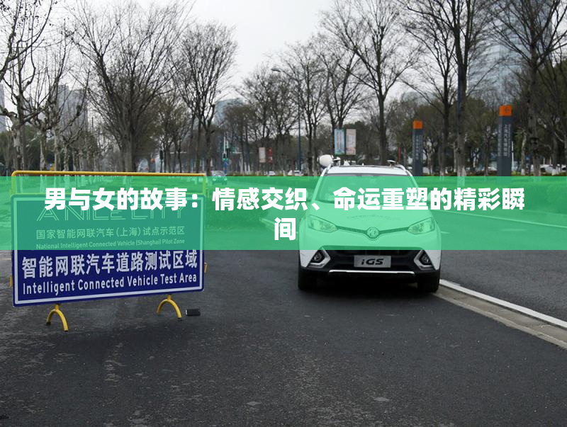 男与女的故事：情感交织、命运重塑的精彩瞬间