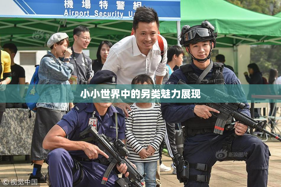 小小世界中的另类魅力展现