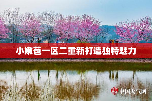 小嫩苞一区二重新打造独特魅力