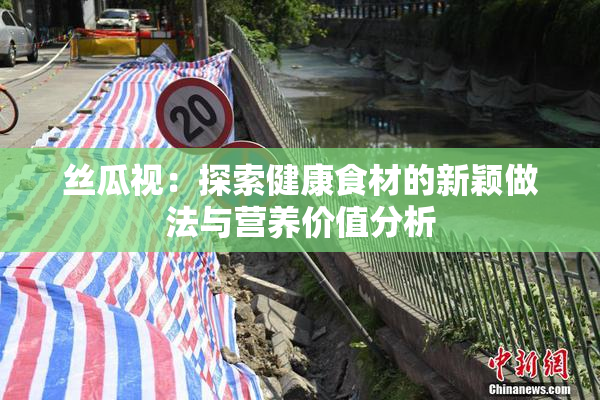 丝瓜视：探索健康食材的新颖做法与营养价值分析