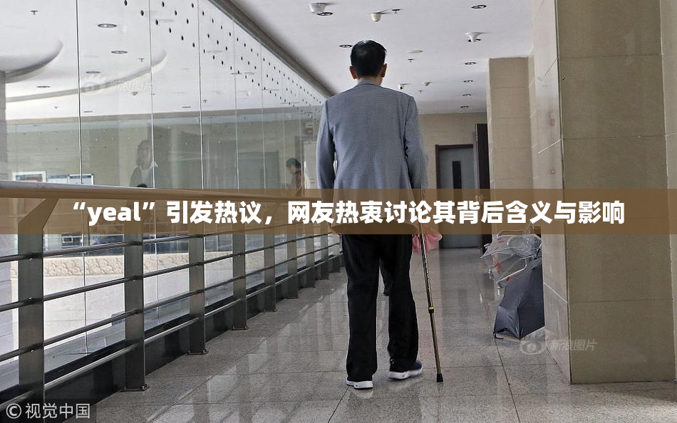“yeal”引发热议，网友热衷讨论其背后含义与影响