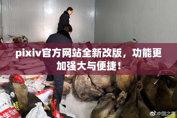 pixiv官方网站全新改版，功能更加强大与便捷！