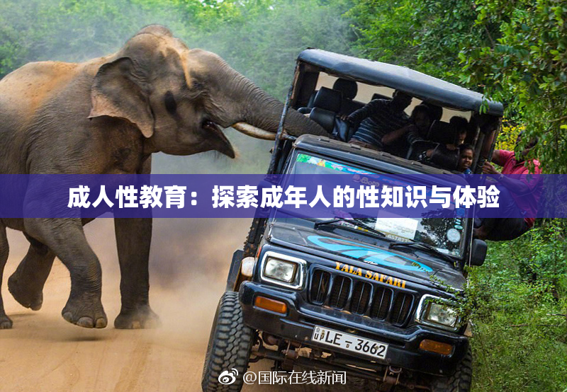 成人性教育：探索成年人的性知识与体验