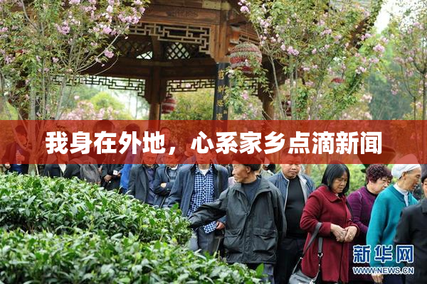 我身在外地，心系家乡点滴新闻