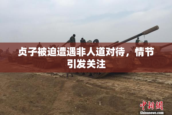 贞子被迫遭遇非人道对待，情节引发关注