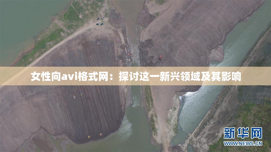 女性向avi格式网：探讨这一新兴领域及其影响
