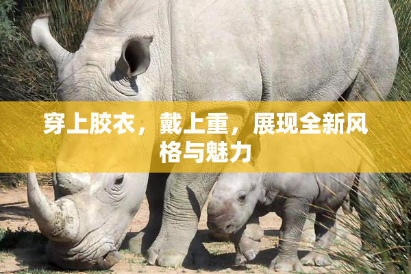 穿上胶衣，戴上重，展现全新风格与魅力