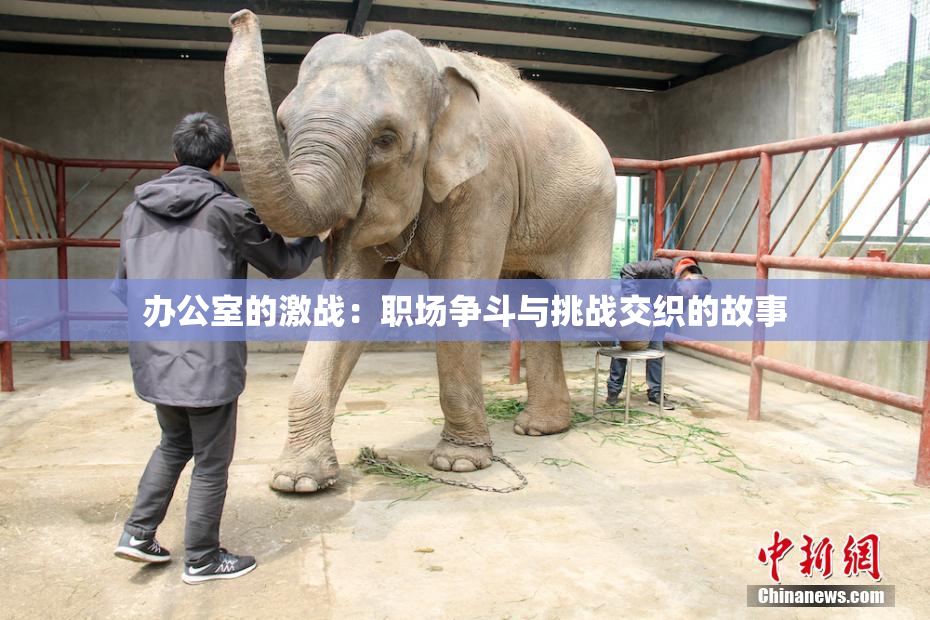 办公室的激战：职场争斗与挑战交织的故事