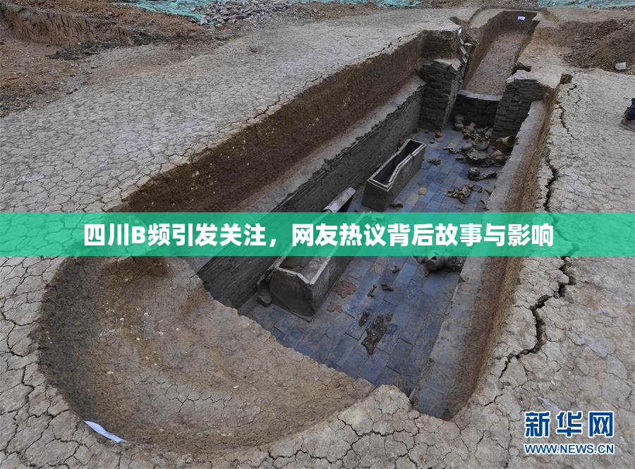 四川B频引发关注，网友热议背后故事与影响