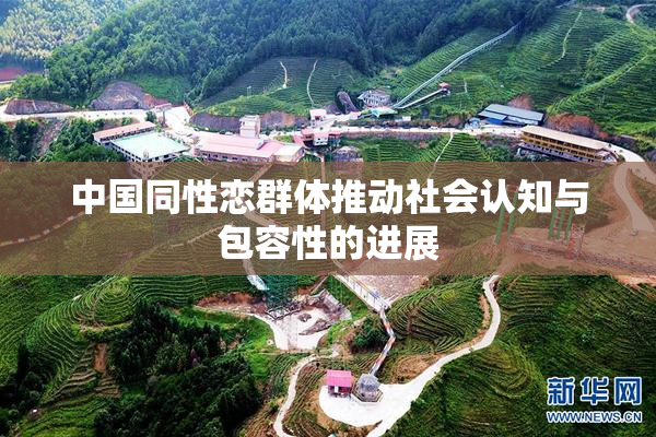 中国同性恋群体推动社会认知与包容性的进展